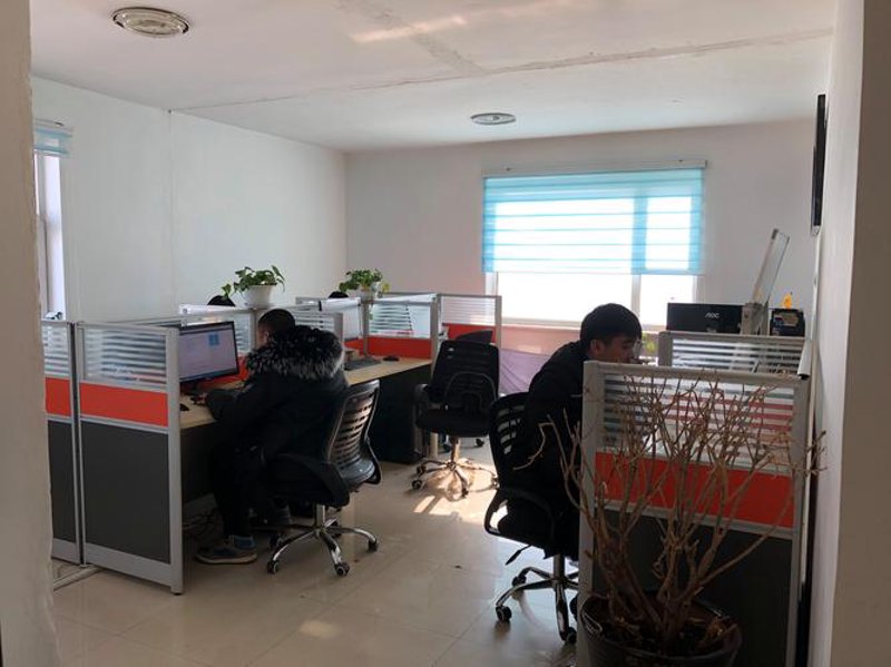吉林软件开发：行业发展的新引擎